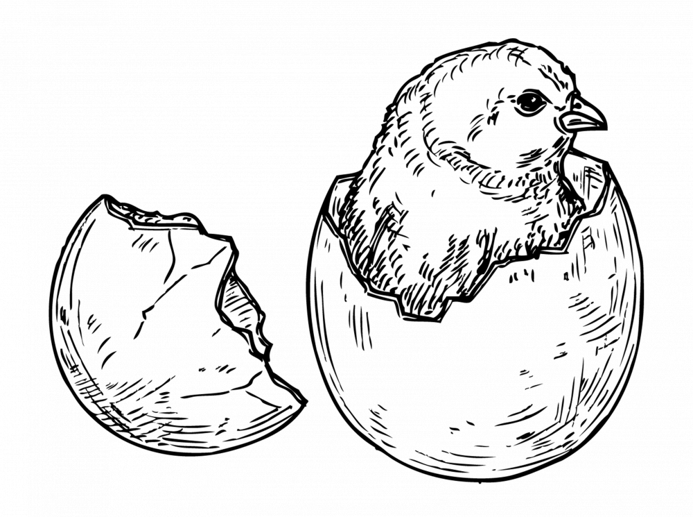 oeufs-services.png